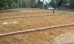 🚀 500 TRIỆU – CƠ HỘI SỞ HỮU ĐẤT Ở ĐÔ THỊ GIỮA LÒNG KỲ SƠN, GẦN CHỢ – GẦN QL6 🚀