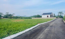 ĐẤT NỀN TRUNG TÂM AN BÌNH: MẶT ĐƯỜNG NHỰA Ô TÔ – KẾT NỐI THẲNG BA SAO, BÁI ĐÍNH – GIÁ CHỈ 195TR!