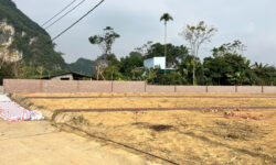 🌊 ĐÓN SÓNG ĐƯỜNG LIÊN KẾT VÙNG – TÂM ĐIỂM KHU NGHỈ DƯỠNG 🌊 ⛰️ SỞ HỮU ĐẤT KIM BÔI CHỈ TỪ 400TR 💰