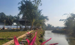 BÁN ĐẤT NỀN GIÁ RẺ CẬN SERENA RESORT KIM BÔI – CHỈ 300TR/LÔ – SỔ SẴN CÔNG CHỨNG NGAY.