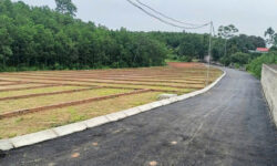 Bán đất An Bình, Lạc Thủy – kết nối Ba Sao Hà Nam & Bái Đính Ninh Bình – giá từ 195 triệu