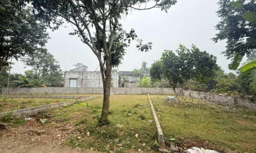 💥 Quá đẹp cho 1 lô đất tài chính loanh quanh 350-389 tr 💥