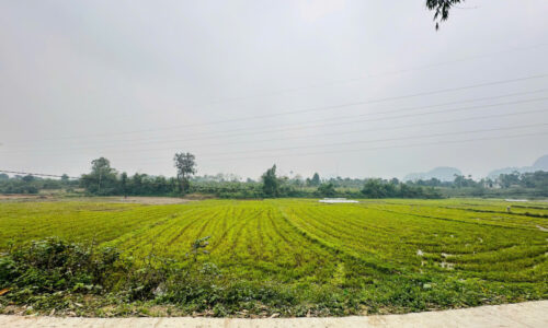 🔥 BÁN ĐẤT VIEW CÁNH ĐỒNG – NÚI NON – GIÁ 1,3 TỶ🔥