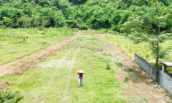 🌿 ĐẤT ĐẸP ĐÚ SÁNG – KIM BÔI, HÒA BÌNH 🌿