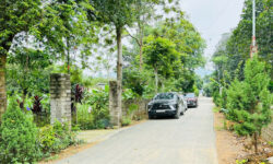 BÁN ĐẤT FULL THỔ CƯ TẠI THỊ TRẤN BA HÀNG ĐỒI