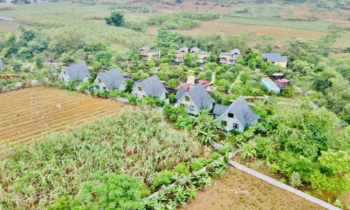 🌿 BÁN ĐẤT ĐẸP BÁM SUỐI – THUNG RẾCH, MƯỜNG ĐỘNG, PHÚ THỌ 🌿