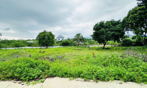 BÁN ĐẤT NHUẬN TRẠCH LƯƠNG SƠN HOÀ BÌNH CŨ