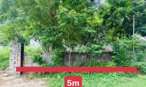 🔥 100m² FULL THỔ CƯ – VIEW CÁNH ĐỒNG – CHỈ TỪ 5XX TRIỆU