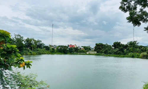 🔥 BÁN ĐẤT MẶT ĐƯỜNG TIÊN HỘI – VIEW CÁNH ĐỒNG – GIÁ CHỈ 1,X TỶ
