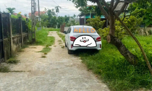 HÀNG MỚI NAM PHƯỚC – LÔ ĐẤT ĐẸP CHỈ 8XX TRIỆU 🔥