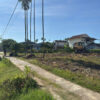 Alo (1)