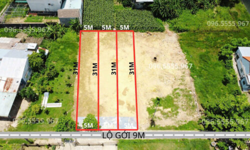 BÁN GẤP 3 LÔ LIỀN KỀ – NAM PHƯỚC | GIÁ NHỈNH 800TR/LÔ 🔥